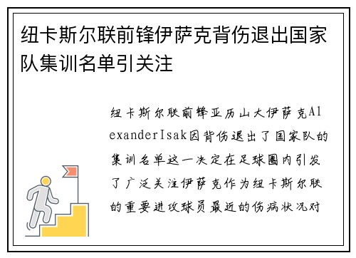 纽卡斯尔联前锋伊萨克背伤退出国家队集训名单引关注 纽卡斯尔联前锋伊萨克背伤退出国家队集训名单引关注