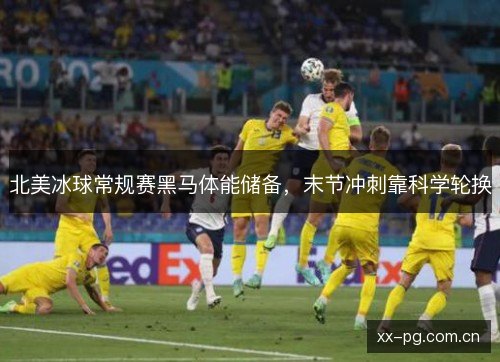 北美冰球常规赛黑马体能储备，末节冲刺靠科学轮换